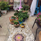 Round Concrete Paver Molds ( Lotus )